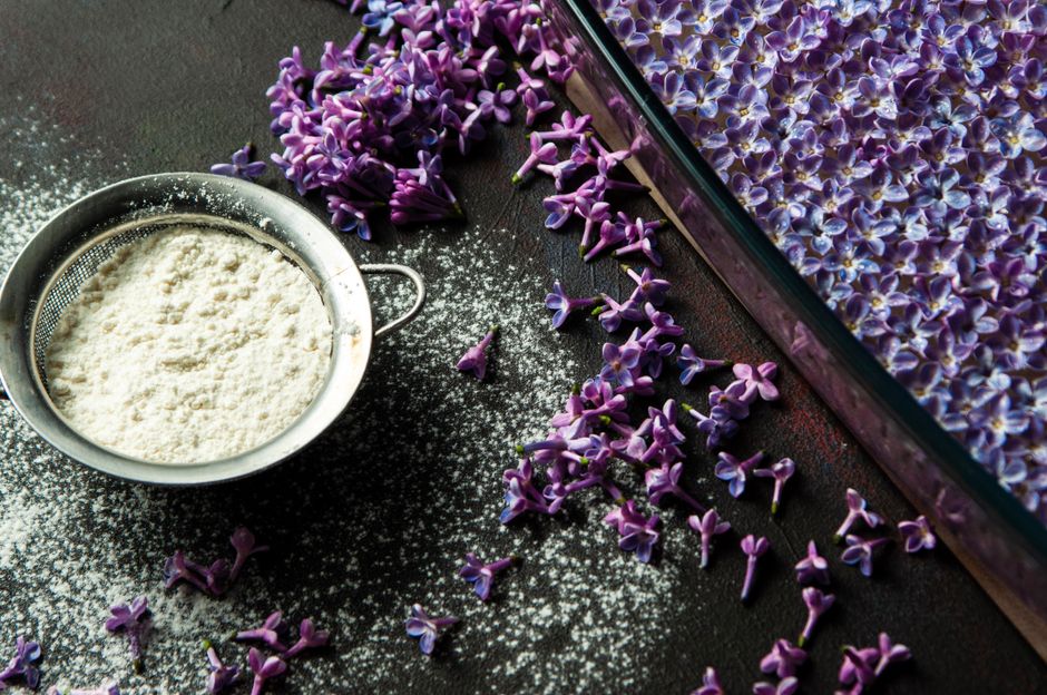 Fleurs comestibles en pâtisserie : lesquelles utiliser