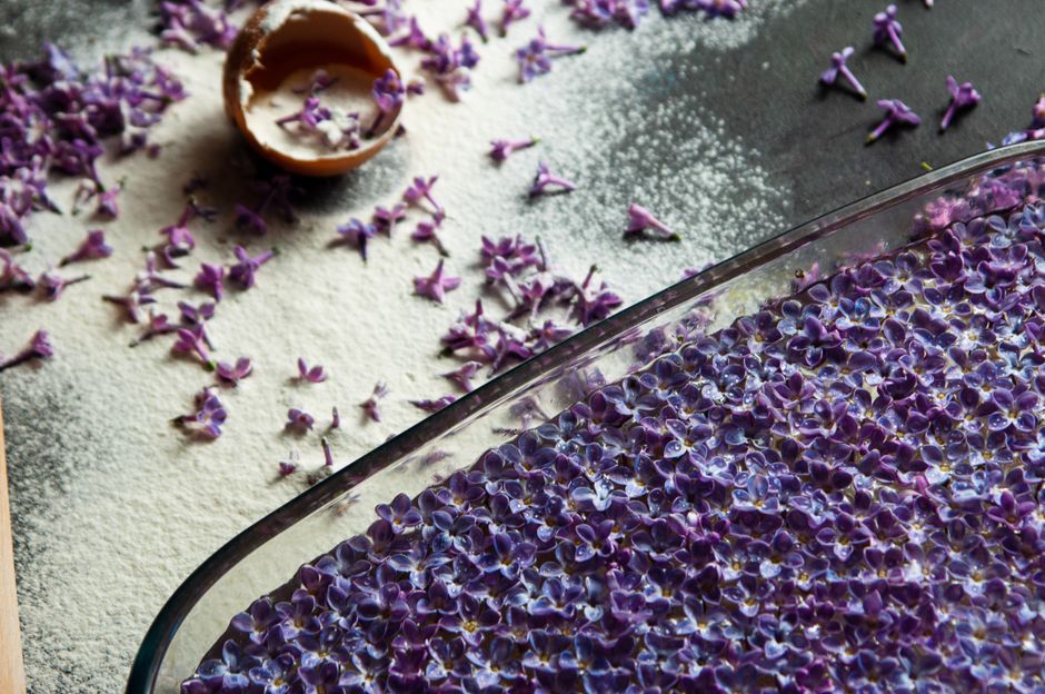 Fleurs comestibles en pâtisserie : lesquelles utiliser
